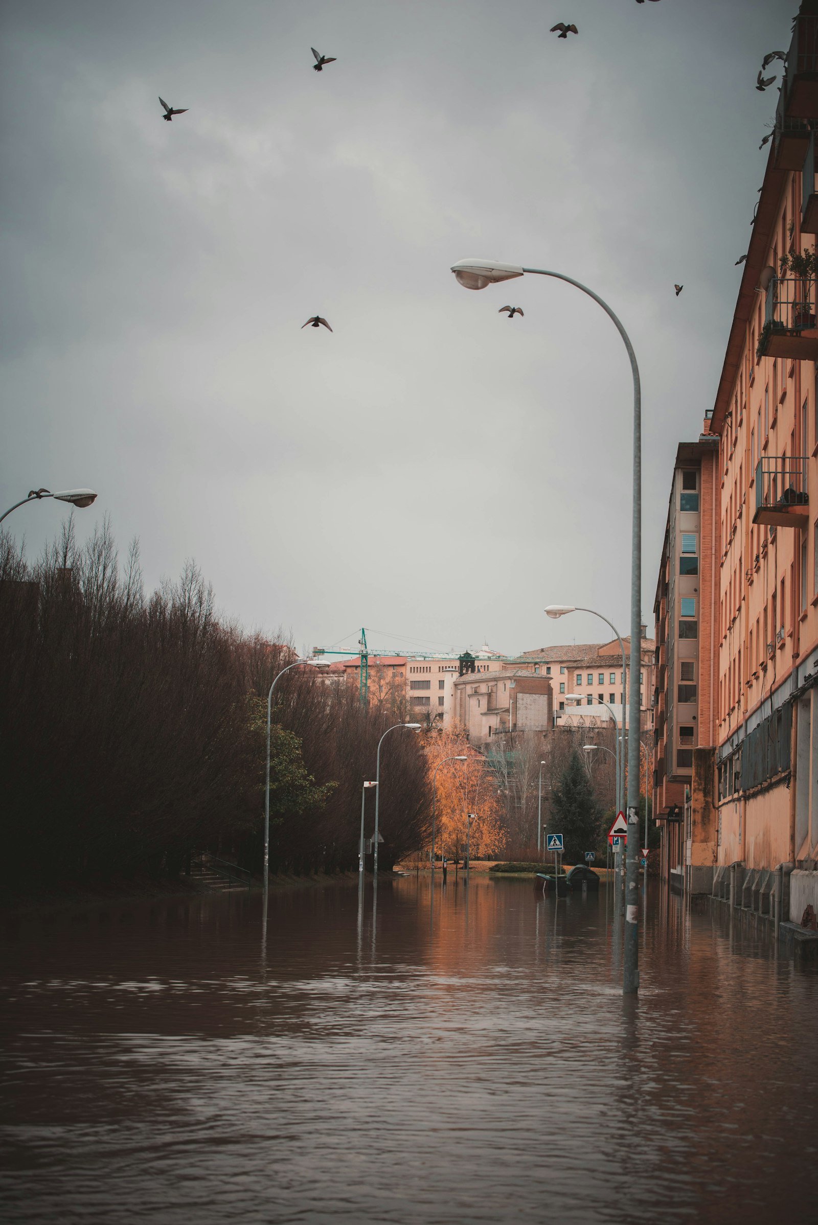 Floodwater covering a city street, photographed by Juan Manuel Sanchez